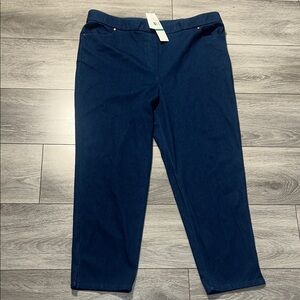 Alfred Dunner Women's Blue Jeggings